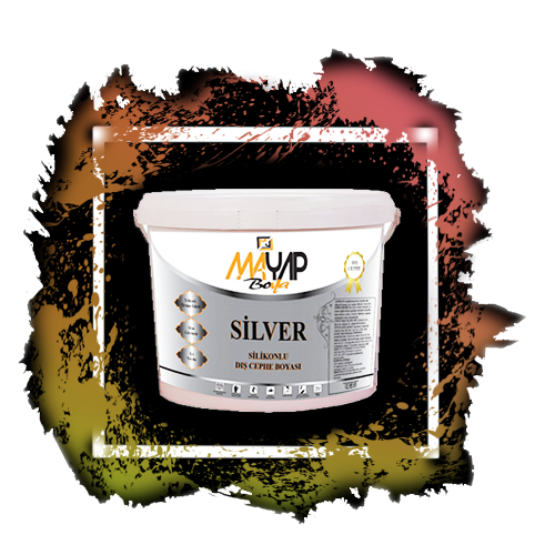 Silver Silikonlu Dış Cephe Boyası