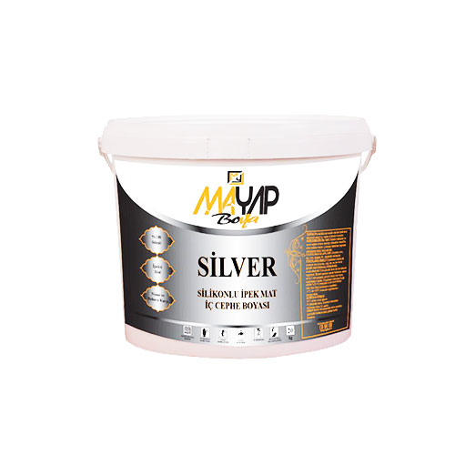 Silver Silikonlu İpek Mat Boya
